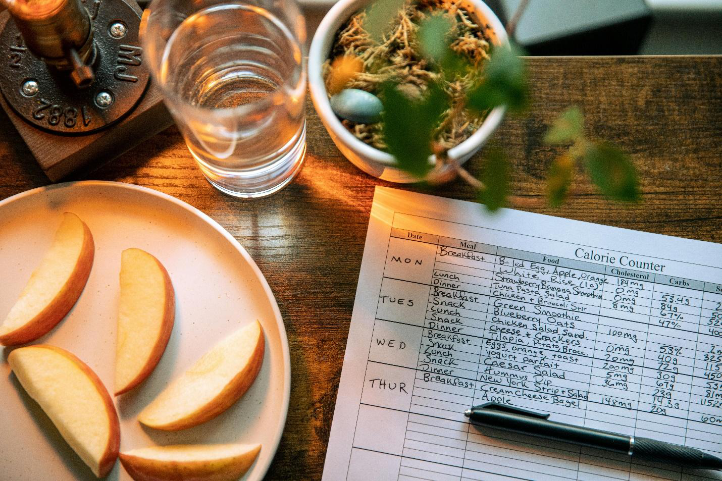 A picture of a calorie counter plan